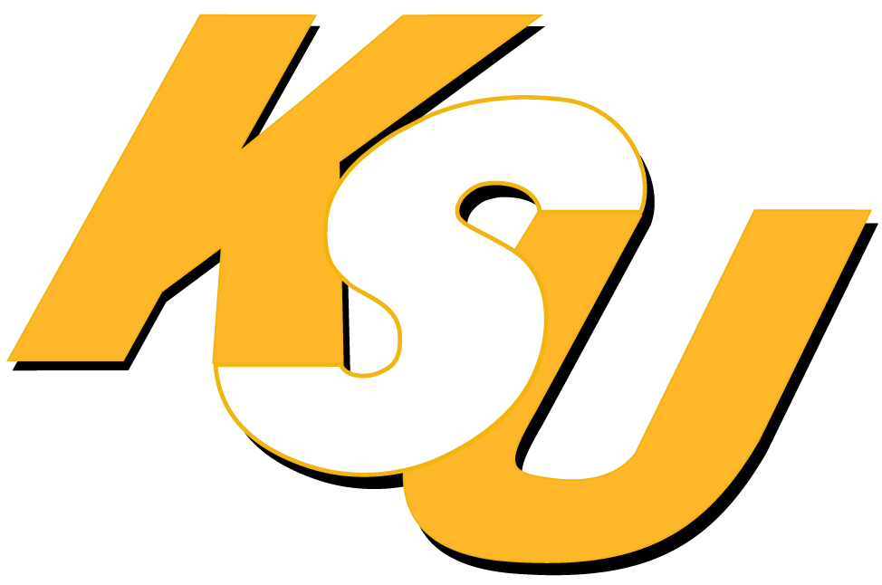 Kennesaw State Owls 2000-2011 Wordmark Logo 01 iron on paper